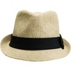 Fedora hat