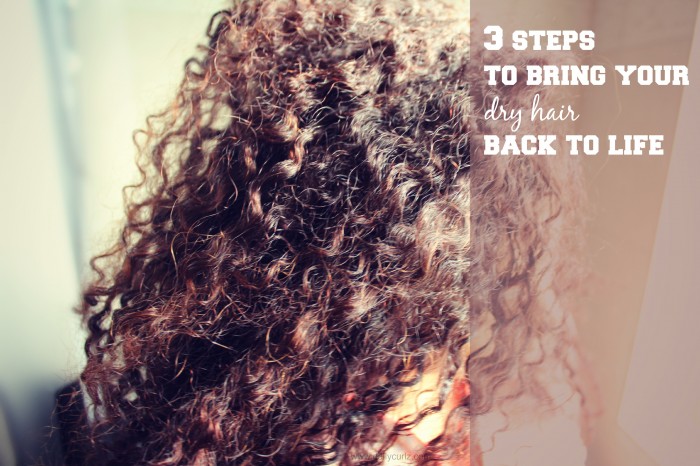 3_steps_to_bring_your_dry_hair_back_to_life