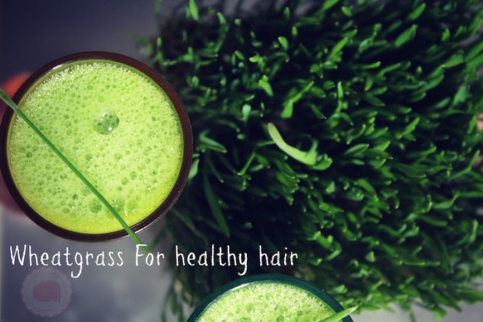 wheatgrass for hair growth