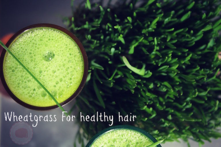 Wheatgrass for hair growth |Pasto de trigo para el cabello saludable