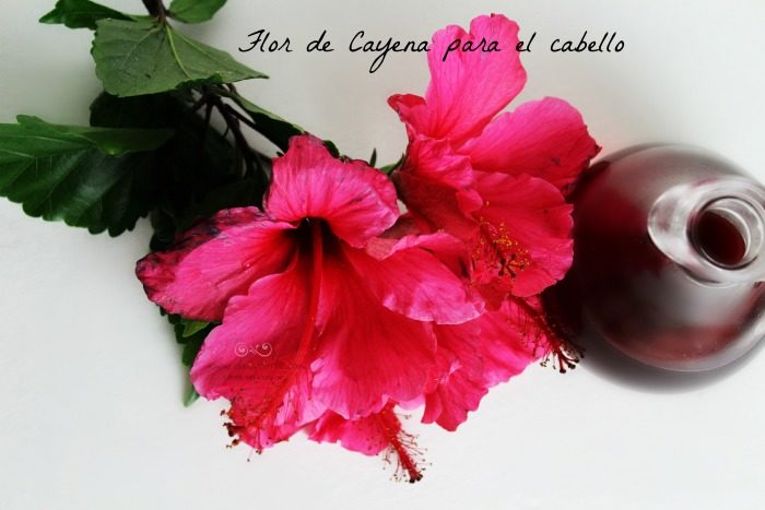 flor de Cayena para el cabello