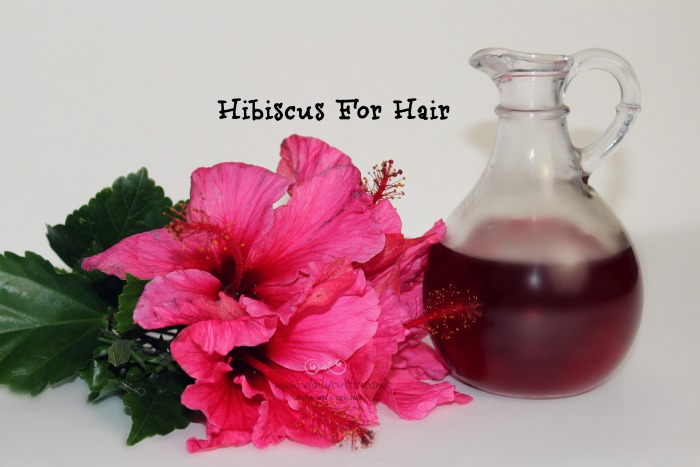 Hibiscus For Hair | Flor de Cayena para el cabello.