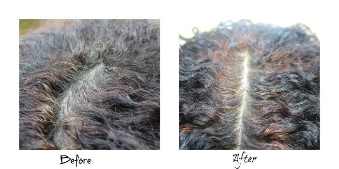 semi permanent hair color on grey hair
