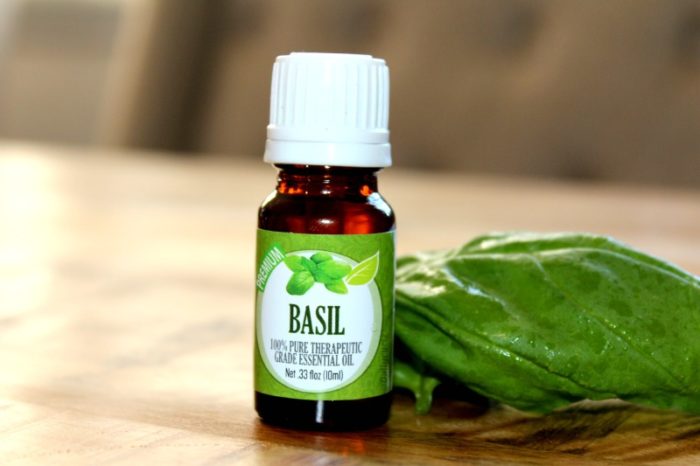 basil benefits for hair