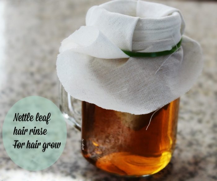 nettle leaf for natural hair growth
