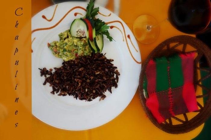 chapulines dish