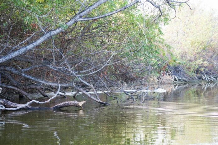 kayak-places-in-california