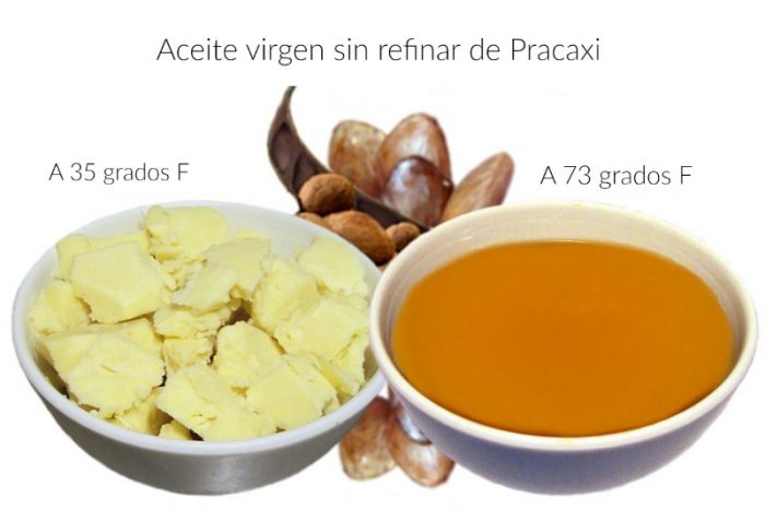 Propiedades hidratantes del aceite de semilla de Pracaxi 