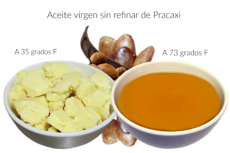 Propiedades hidratantes del aceite de semilla de Pracaxi