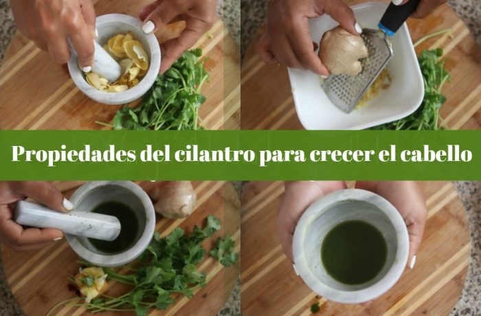 Tónico casero de cilantro y jengibre para crecer el cabello