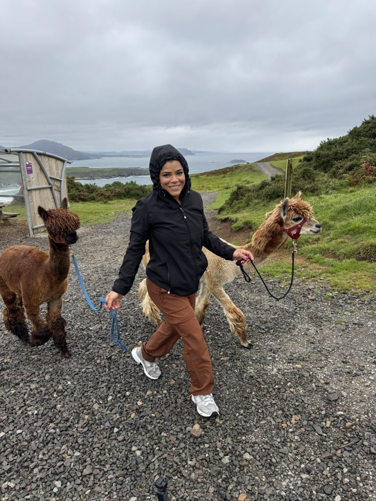 Discover the best of Letterkenny, Ireland in a day